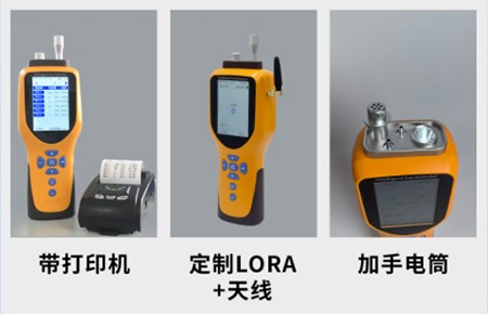 GT-1000泵吸式甲烷检测仪：城市燃气管网巡检的技术规格与应用
